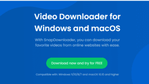 snapdownloader review